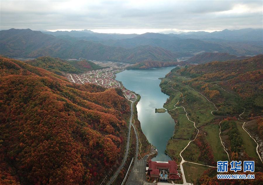 美しく鮮やかな紅葉　秋の彩り見(jiàn)せる遼寧の景勝地