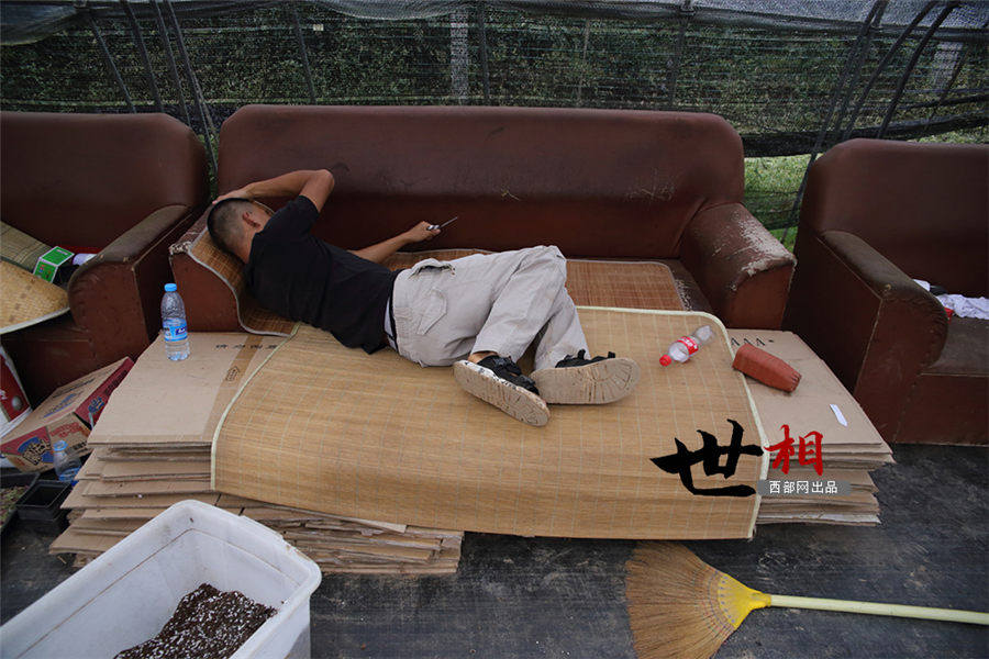 白鹿原に住む「多肉植物」専門の植木屋　西安市