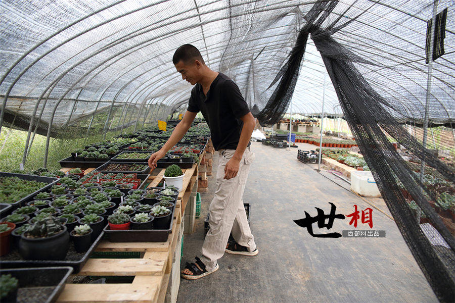 白鹿原に住む「多肉植物」専門の植木屋　西安市