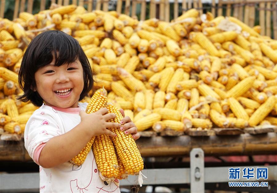 収穫の秋、豊作に喜ぶ人々