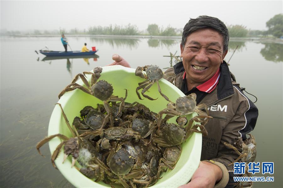 収穫の秋、豊作に喜ぶ人々