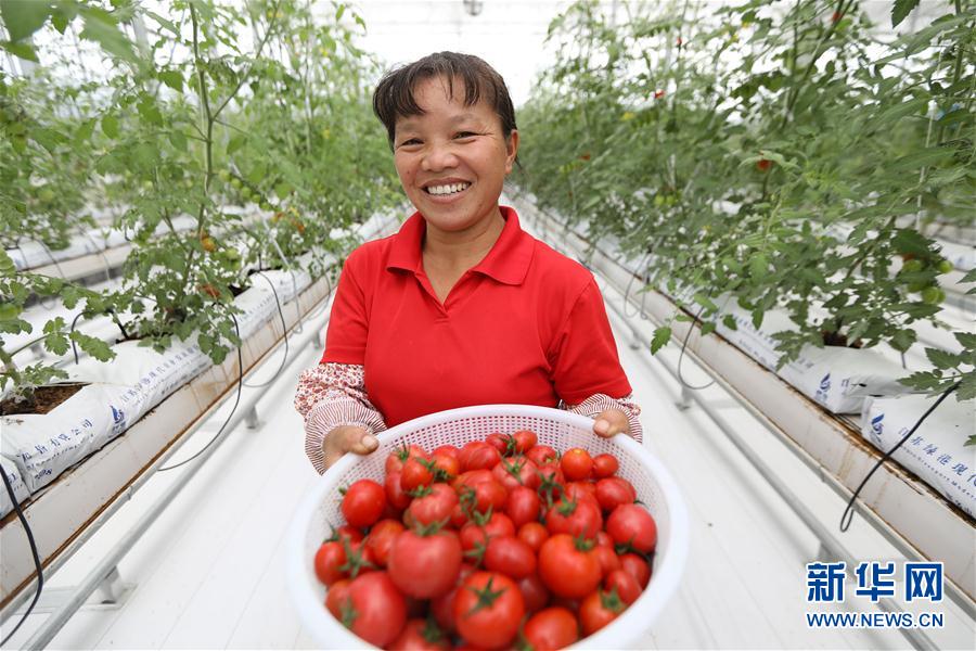 収穫の秋、豊作に喜ぶ人々