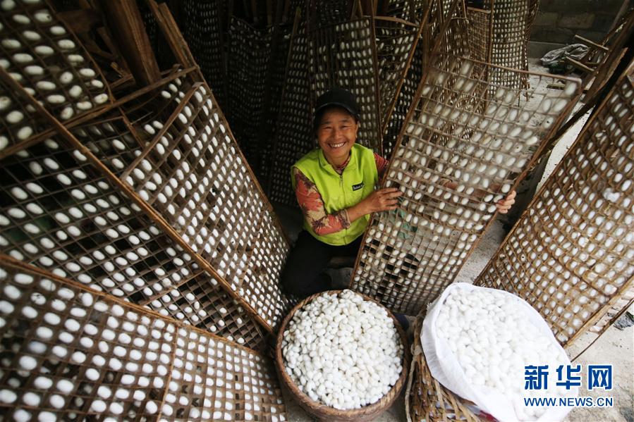 収穫の秋、豊作に喜ぶ人々