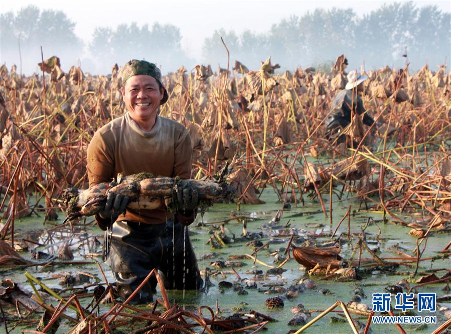 収穫の秋、豊作に喜ぶ人々