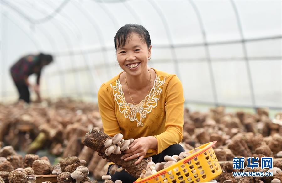 収穫の秋、豊作に喜ぶ人々