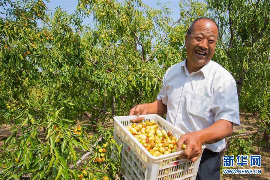 収穫の秋、豊作に喜ぶ人々