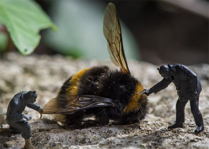 ハンガリーの寫(xiě)真家が作り出すアイデアいっぱいのミニチュアワールド