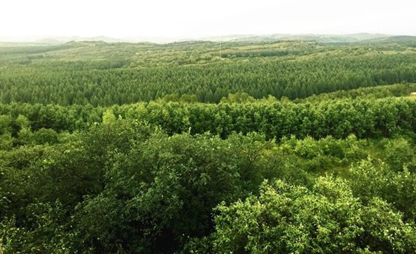 中國、環(huán)境保護強化により地方経済の構造が最適化