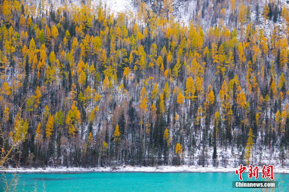 秋深まるカナス景勝區(qū)、まるでファンタジーの世界　新疆