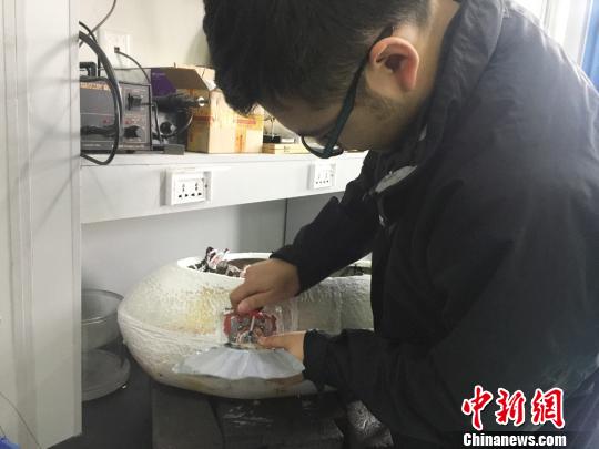 甘粛省の大學(xué)、本物そっくりのロボット魚を開発