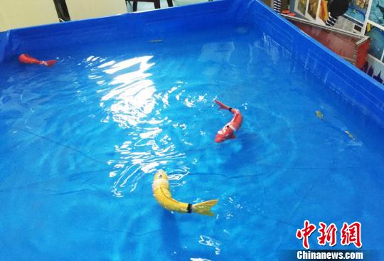 甘粛省の大學(xué)、本物そっくりのロボット魚を開発