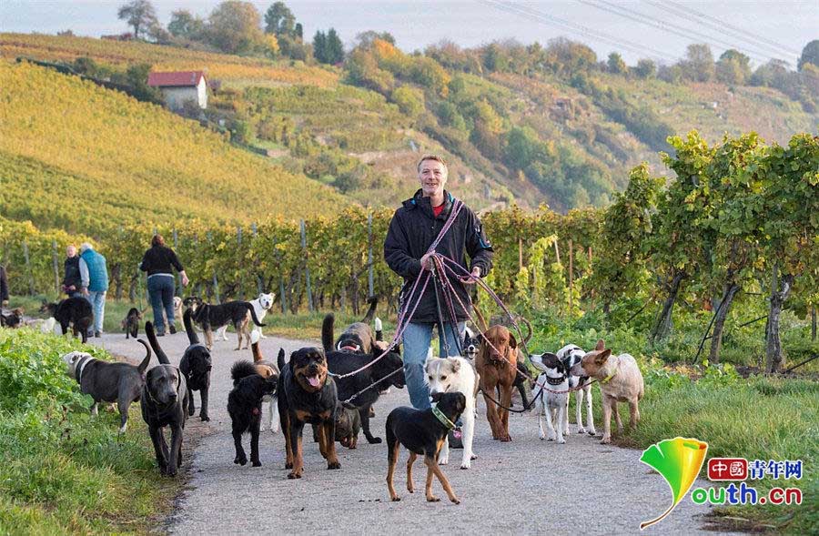 大きなベッドにモーニングサービスも！ドイツのペットホテル　