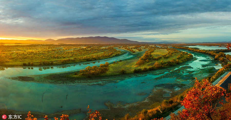 秋の色広がる　黒竜江省の烏蘇里江國家森林公園 