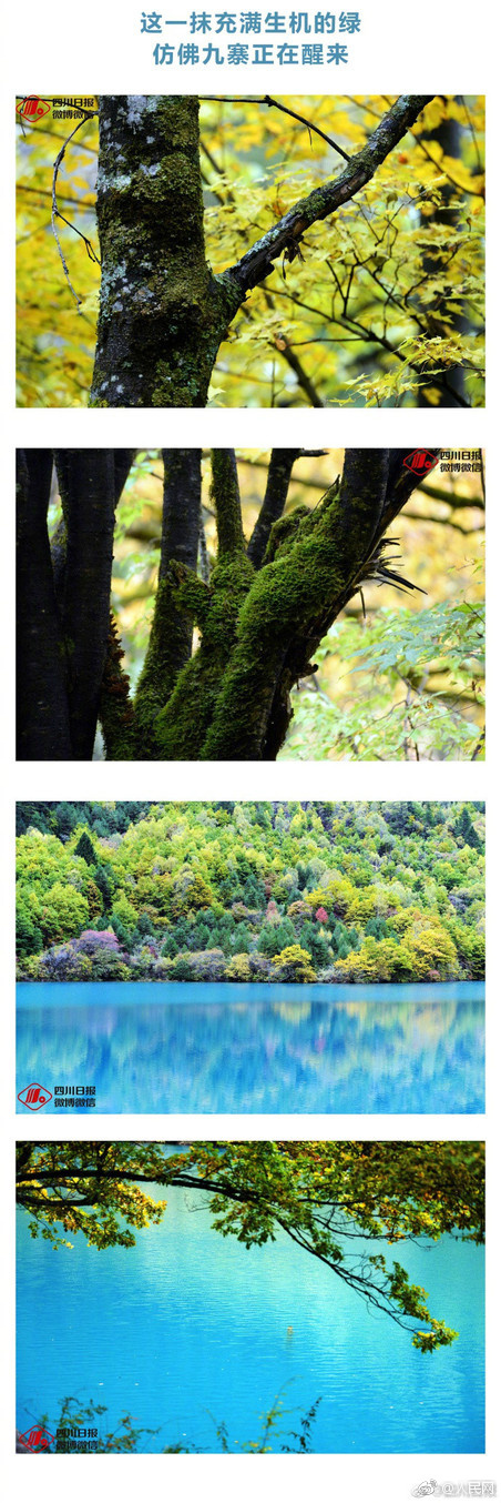 地震後の九寨溝に秋の訪れ-震災(zāi)前と変わらず幻想的な世界に