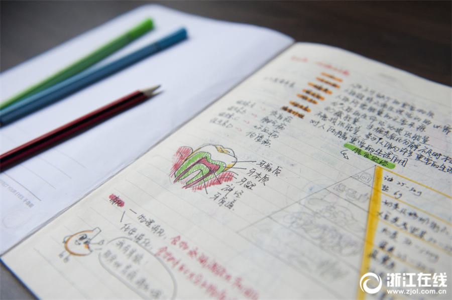 手描きの挿絵に説明文、女子中學(xué)生の科學(xué)のノートが話題に