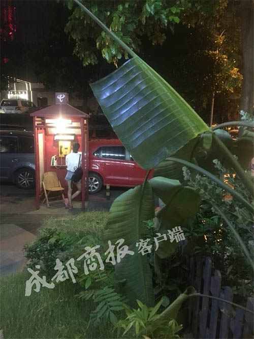 使われなくなっていた電話ボックスが24時(shí)間営業(yè)の「本屋」に　成都