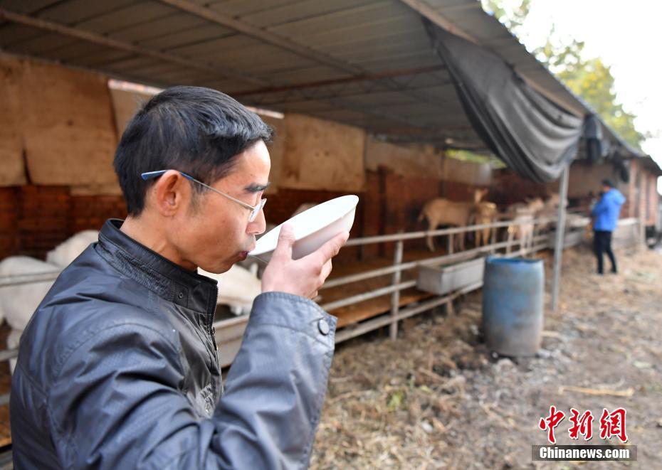 搾乳できる雄ヤギ発見、子ヤギにも遺伝確認(rèn)　河北省