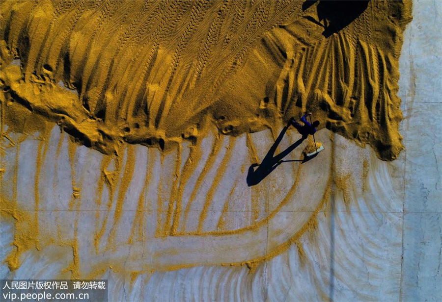 まるで油絵のような美しさ　収穫期の白馬湖農(nóng)場を空撮　江蘇省