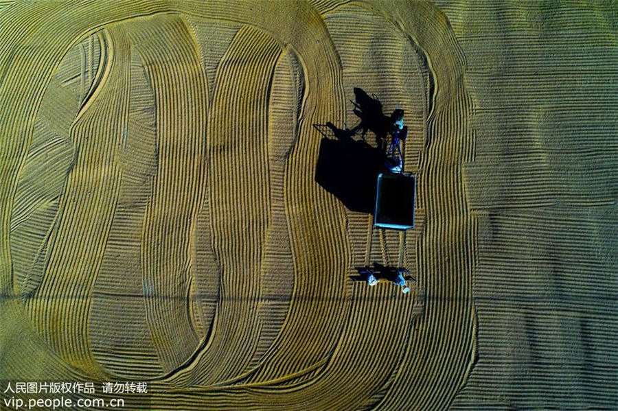 まるで油絵のような美しさ　収穫期の白馬湖農(nóng)場を空撮　江蘇省