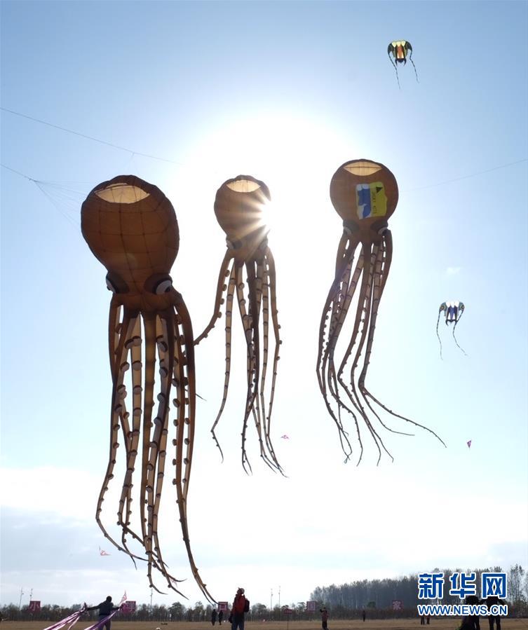江蘇省で國際凧大會開幕　中國國內(nèi)外から參加者が集結(jié)