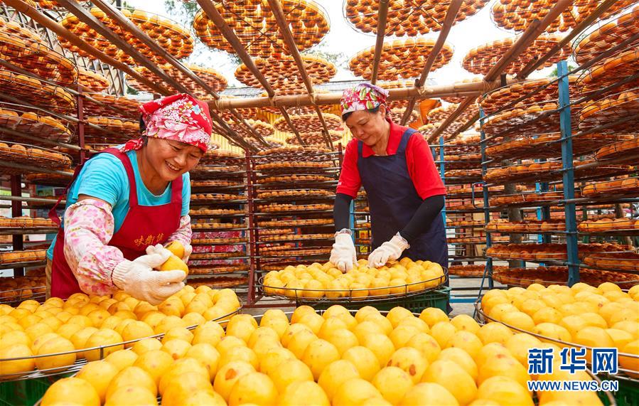 伝統(tǒng)を守り続ける「干し柿ばあちゃん」　経営する農(nóng)場(chǎng)は観光客に大人気　臺(tái)灣