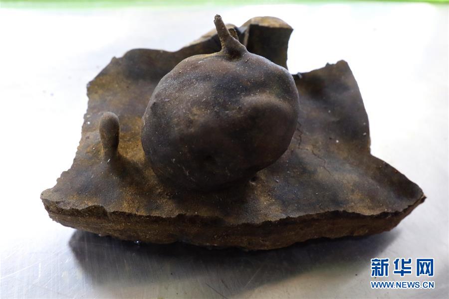   向陽紅01號、南大西洋の海底で変わった玄武巖を発見