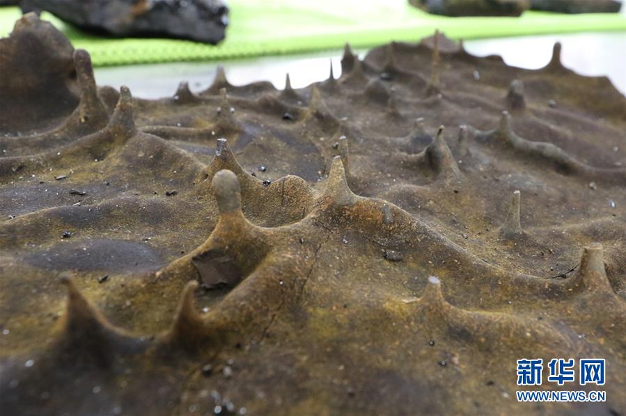   向陽紅01號(hào)、南大西洋の海底で変わった玄武巖を発見