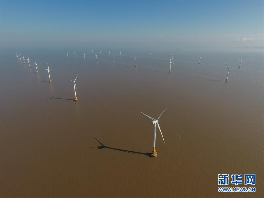 海上に立ち並ぶタービン　上海の東海大橋海上風(fēng)力発電所