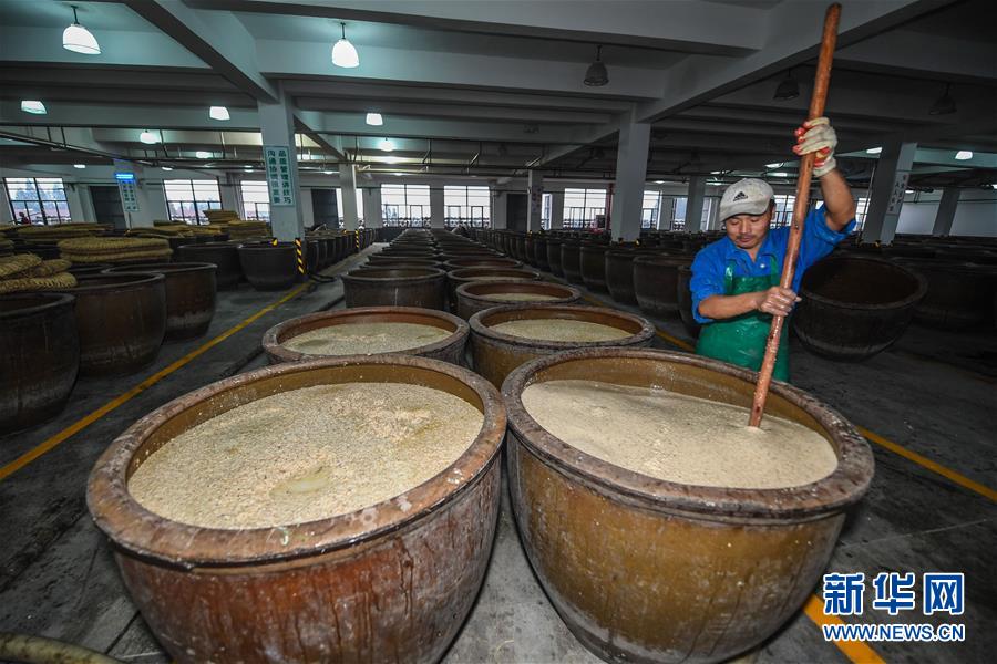 紹興酒の里で立冬に行われる冬の醸造作業(yè)　浙江省