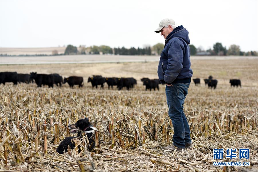 中米の経済協(xié)力で米國(guó)産牛肉の中國(guó)への輸入が14年ぶりに再開　