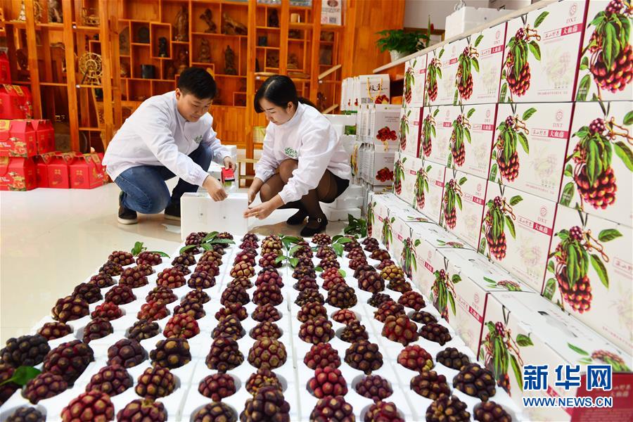 美容と長壽のフルーツ「布福娜」が登場　貴州省