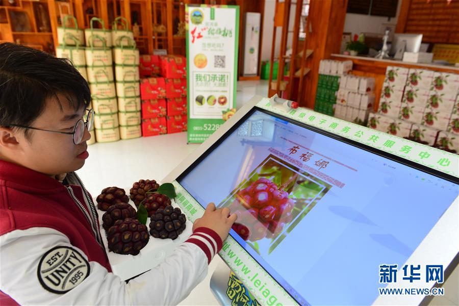 美容と長壽のフルーツ「布福娜」が登場　貴州省