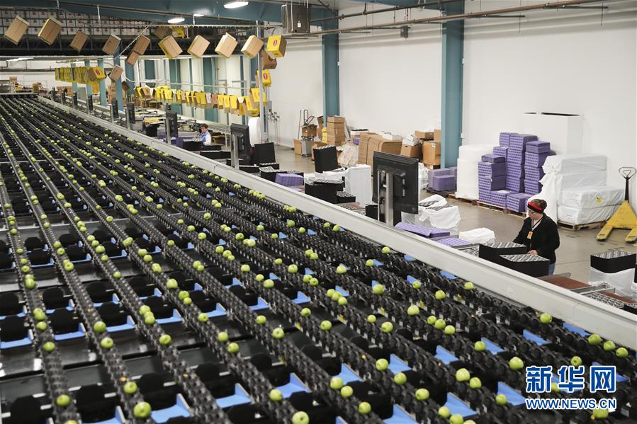 米國の「リンゴの都」が天貓と提攜し、中國市場を開拓