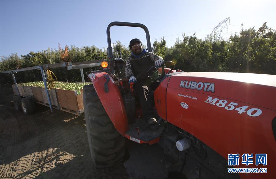 米國の「リンゴの都」が天貓と提攜し、中國市場を開拓