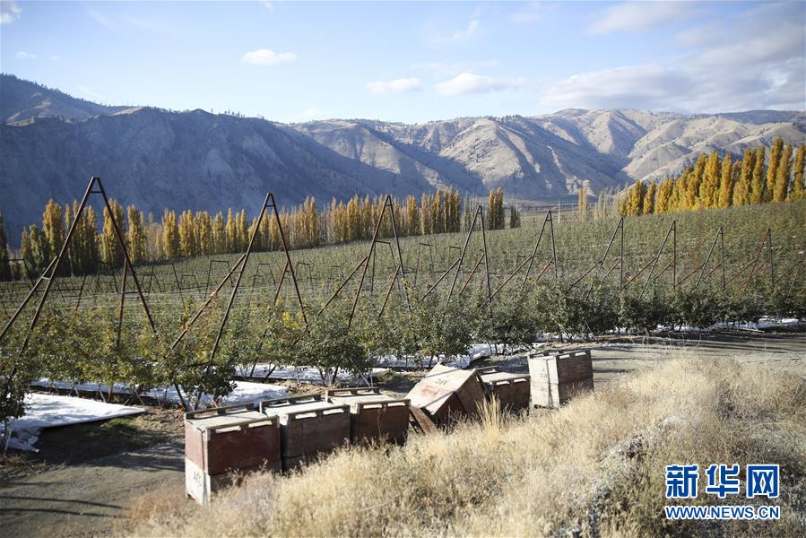 米國の「リンゴの都」が天貓と提攜し、中國市場を開拓