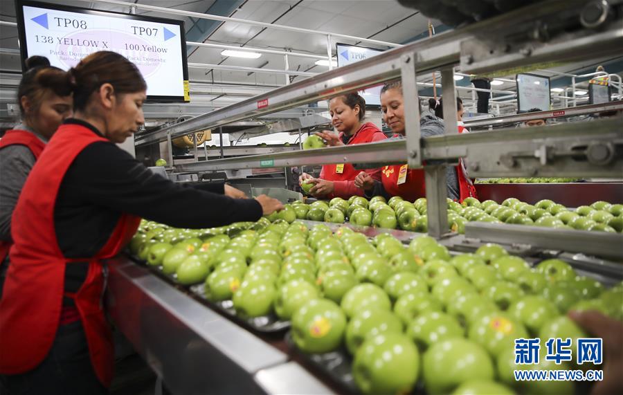 米國の「リンゴの都」が天貓と提攜し、中國市場を開拓