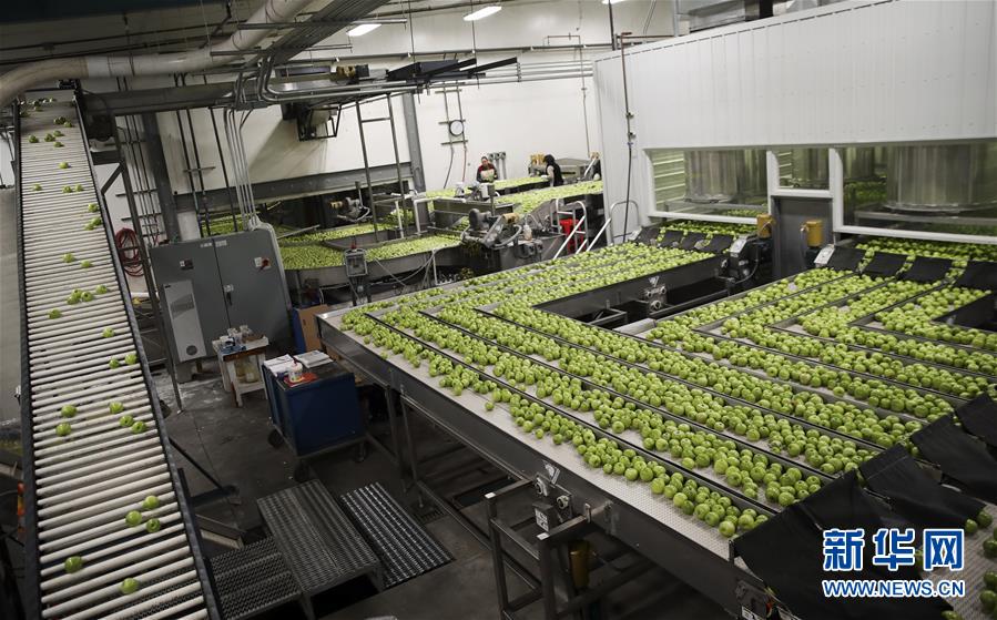 米國(guó)の「リンゴの都」が天貓と提攜し、中國(guó)市場(chǎng)を開(kāi)拓