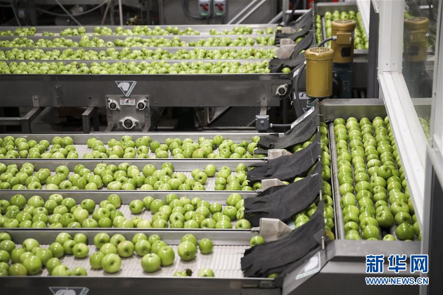 米國の「リンゴの都」が天貓と提攜し、中國市場を開拓