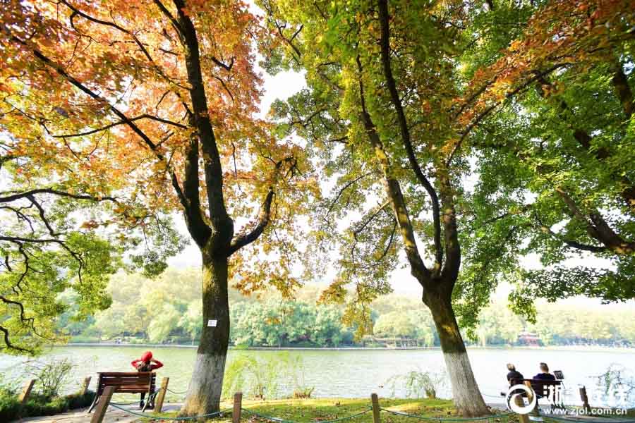 西湖景勝區(qū)、木々が色彩豊かな秋色に色づく　杭州市