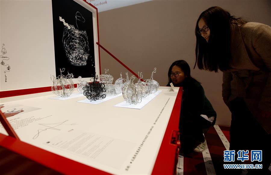 リンゴを物理と文化の側(cè)面から分析　上海で日本人デザイナーの展覧會開催