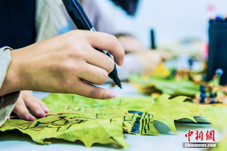 落ち葉が美しく生まれ変わる　女子學(xué)生が描く落ち葉アート　大連