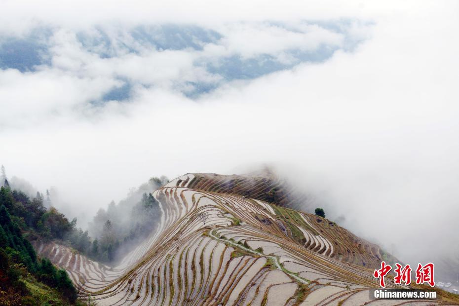 雲霧渦巻く竜脊棚田の幻想的な風景　広西壯（チワン）族自治區(qū)