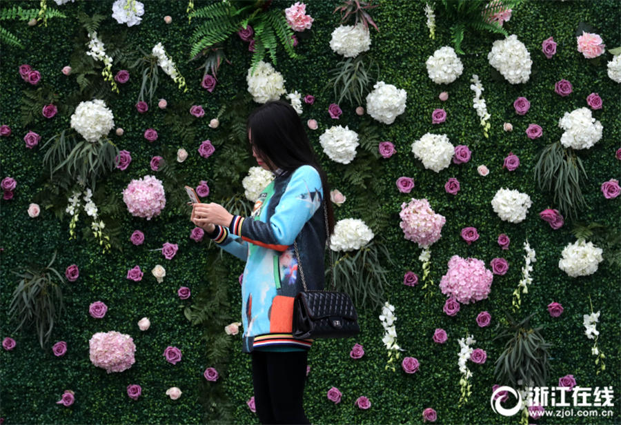 花々の海に迷い込んだような美しさ　杭州「都市の花フェスティバル」