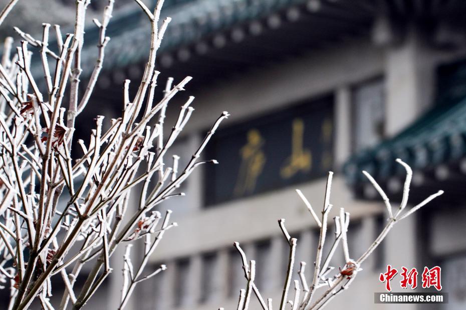 寒波で廬山に美しい樹氷現(xiàn)る　江西省