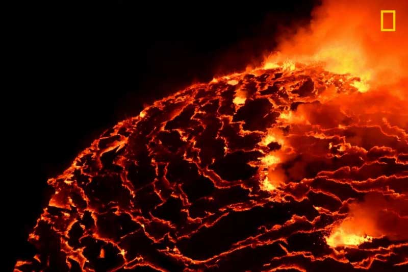 米「ナショナルジオグラフィック」寫(xiě)真コンテスト優(yōu)秀作品