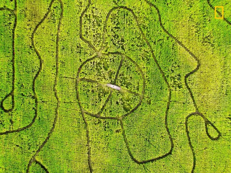 米「ナショナルジオグラフィック」寫真コンテスト優(yōu)秀作品