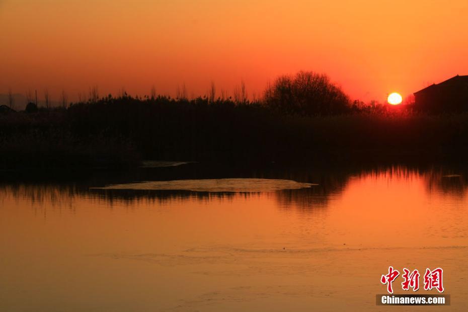 初冬、夜明けの太陽に赤く染まるゴビ濕地　甘粛省