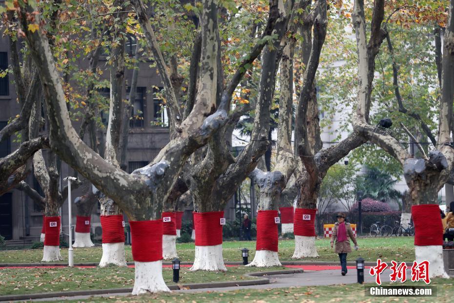 赤い「セーター」を著て、ほっこり心溫まるキャンパス內(nèi)の並木道　南京