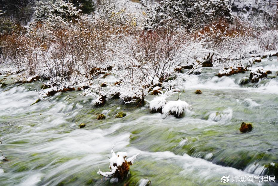 九寨溝で初雪観測　仙境のように幻想的な風景　四川省
