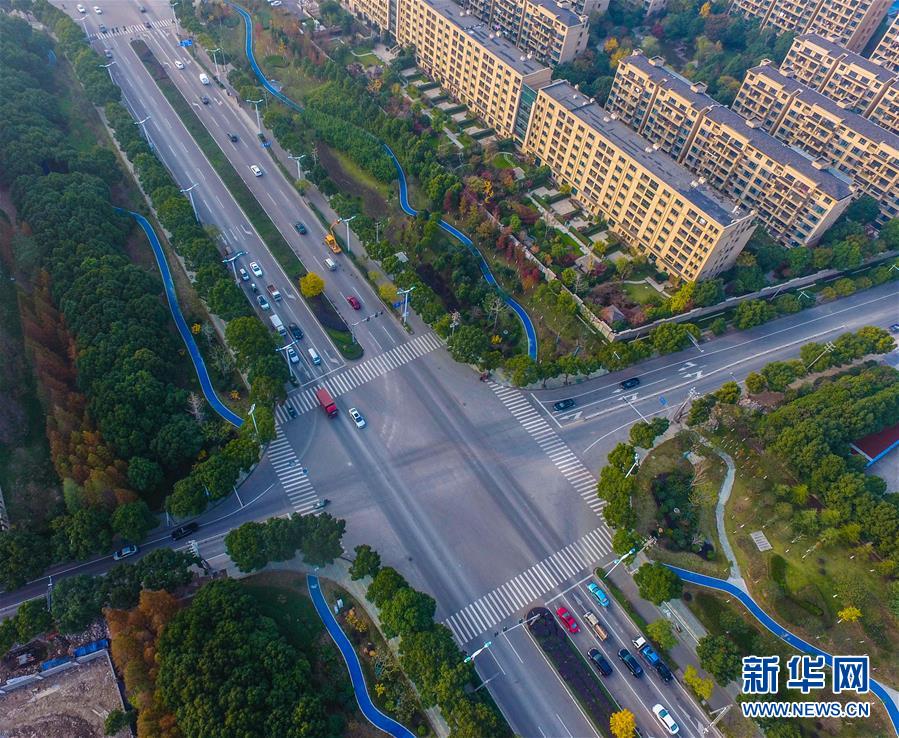 エコ?低炭素の交通を提唱　浙江省で「緑の遊歩道」が開通